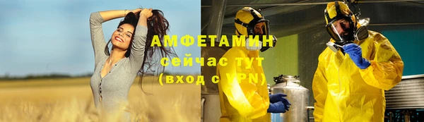 ПСИЛОЦИБИНОВЫЕ ГРИБЫ Алзамай