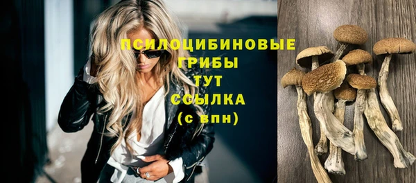 ПСИЛОЦИБИНОВЫЕ ГРИБЫ Алзамай
